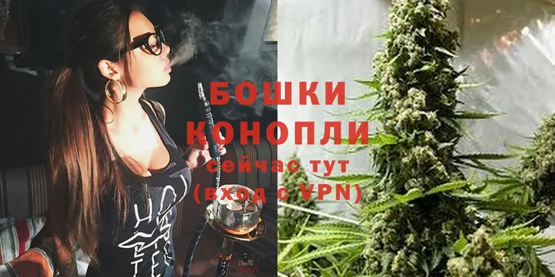 Марихуана SATIVA & INDICA  Верещагино 